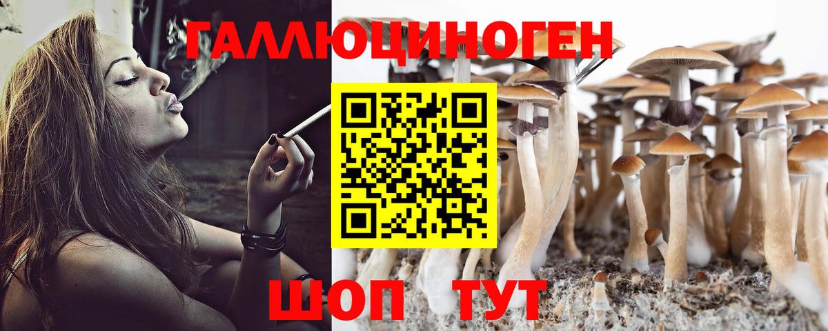 Балашов  Галлюциногенные грибы Psilocybine cubensis  Вход с VPN 